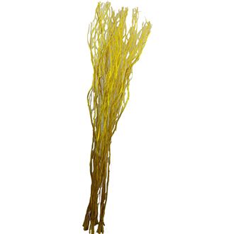 větve 5ks-sv. 150cm, žluté 381583-02