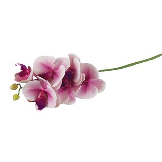 Umělá orchidej X4920-11