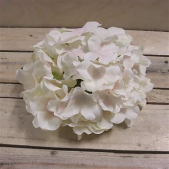 Květ hortenzie krémová, 6 ks 371194-26