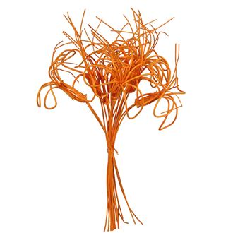 kytka pedig,10ks-40cm oranžová 381570-04