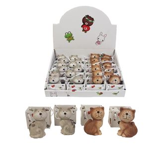 Kočičky box 24 ks X2339