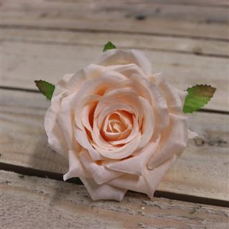 Květ růže meruňková, 12 ks 371211-26
