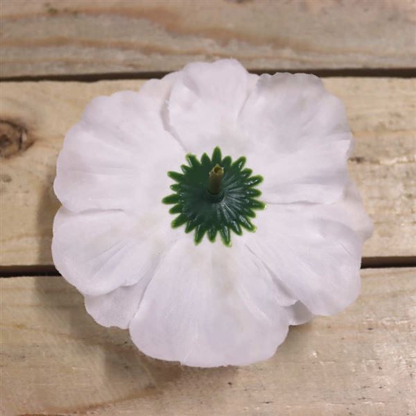 Květ cínie bílá, 12 ks 371195-01