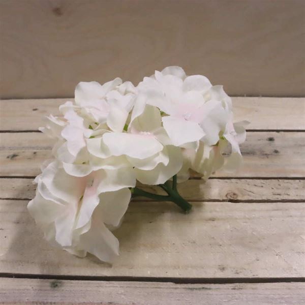 Květ hortenzie krémová, 6 ks 371194-26