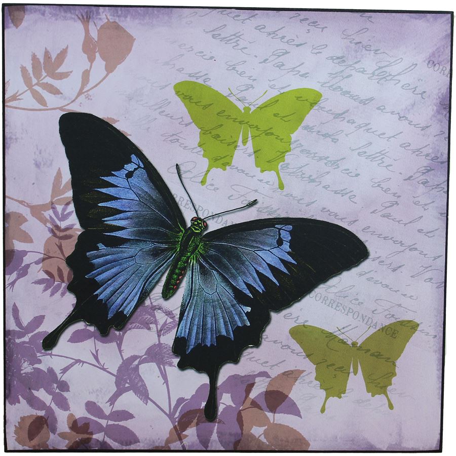 obraz 38x38 - Motýl, 355117