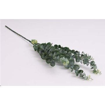 eukalyptus 78 cm, tmavě zelená