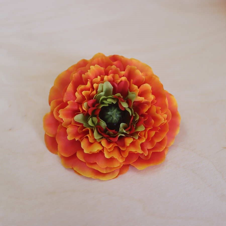 Květ cínie oranžová, 12 ks 371195-04