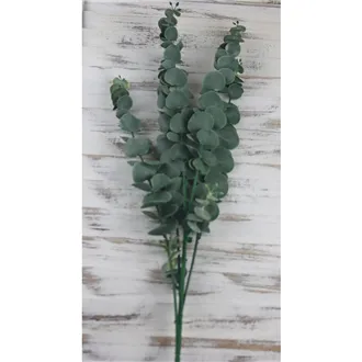 eukalyptus 78 cm, tmavě zelená