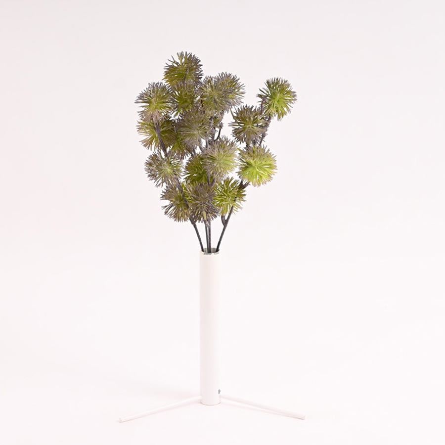 Květ okrasného česneku 371405-20