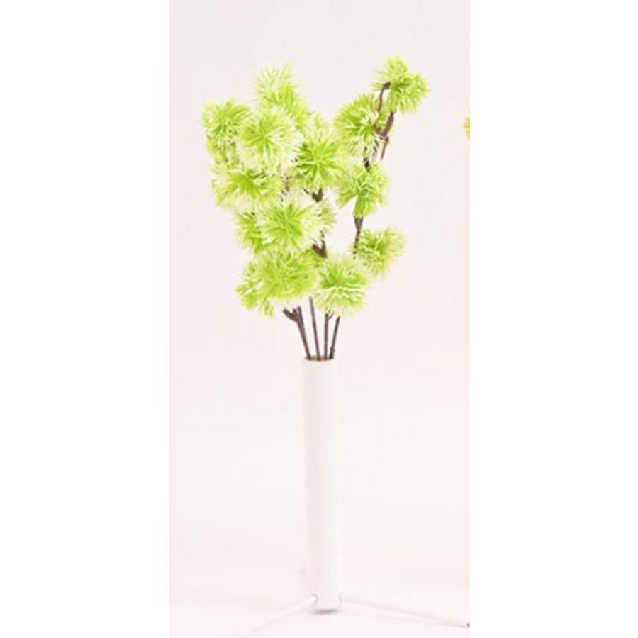 Květ okrasného česneku 371405-26