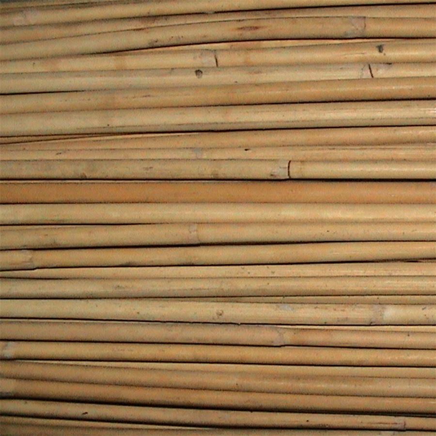 rákos SEGA pr.6-8mm AB 5206006