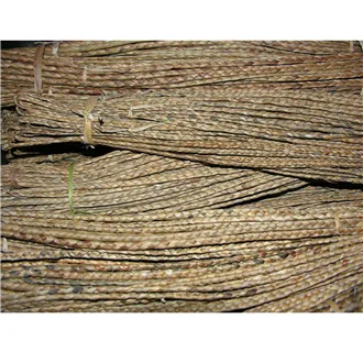 vodní hyacint 6-8mm svazek 10bm 5304050
