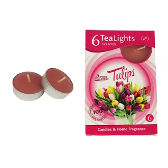 Svíčka čajová TULIPS 6ks MSC-TL1013