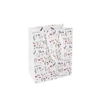 Taška papír dárková Překvapení 14x7x18 cm CZ