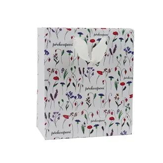 Taška papír dárková Překvapení 18x10x23 cm