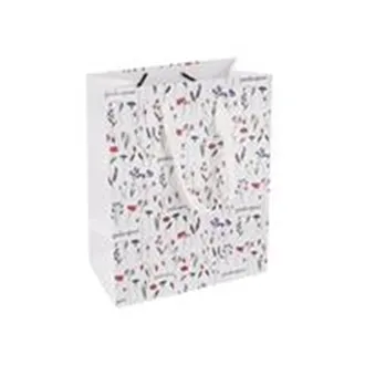 Taška papír dárková Překvapení 18x10x23 cm CZ