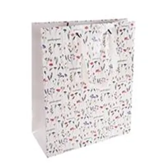 Taška papír dárková Překvapení 26x12x32 cm CZ