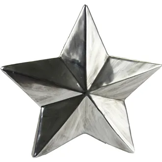 Hvězda porcelán velká X0274