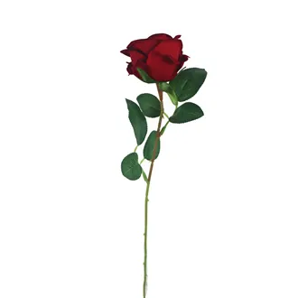 Růže červená X5791-08