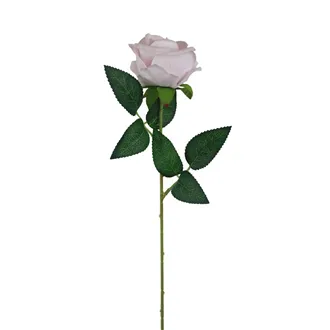 Růže světle fialová X5791-10