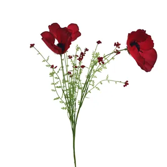 Vlčí mák X7895-08