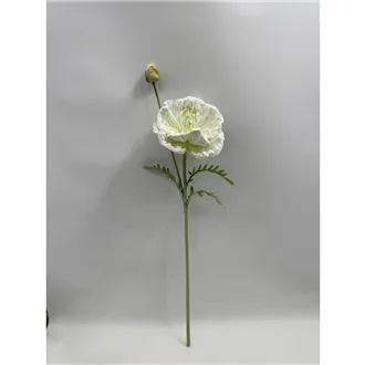 Okrasný mák X7900-01