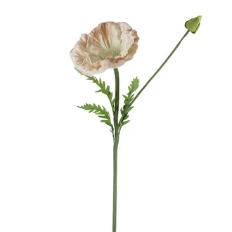 Okrasný mák X7900-33