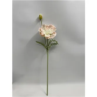 Okrasný mák X7900-33