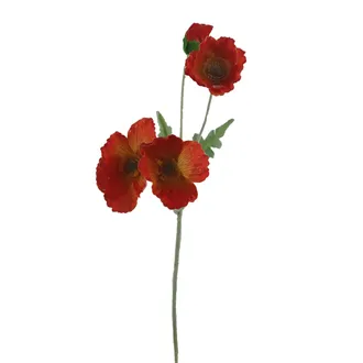 Vlčí mák X7963-04