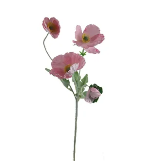 Vlčí mák X7963-05