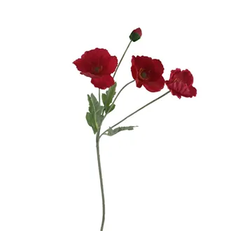 Vlčí mák X7963-08