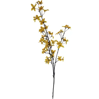 Zlatý déšť  X7964