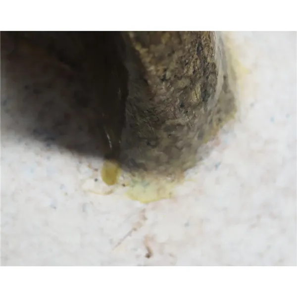 Dekorace kočka 2. jakost X8108/2B