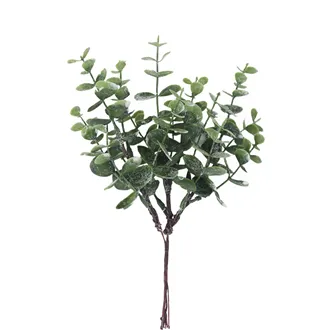 Eukalyptus větvička X8390