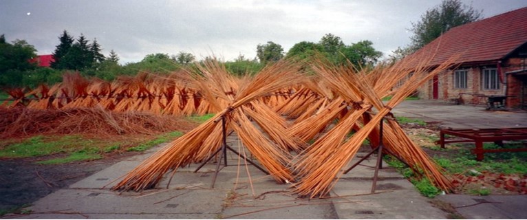 Přírodní materiály k pletení – vrbové proutí